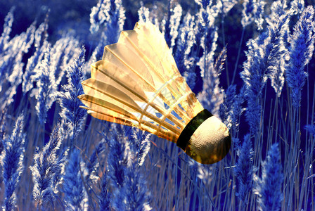 太空梭与海草和蓝天空相撞图片