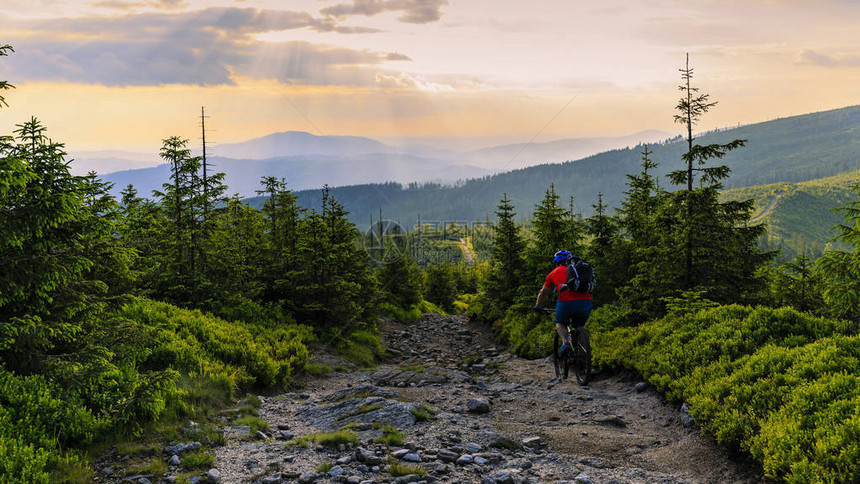 山地自行车骑自行车在夏季山区森林景观男子骑自行车MTB流径赛道图片