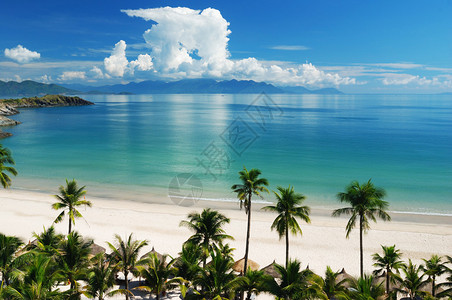 海滩场景热带太平洋高清图片