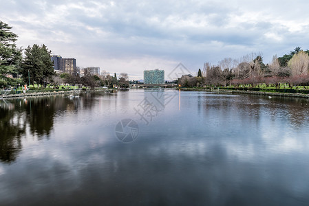 对意大利罗马欧洲区人造湖的景象观测背景图片