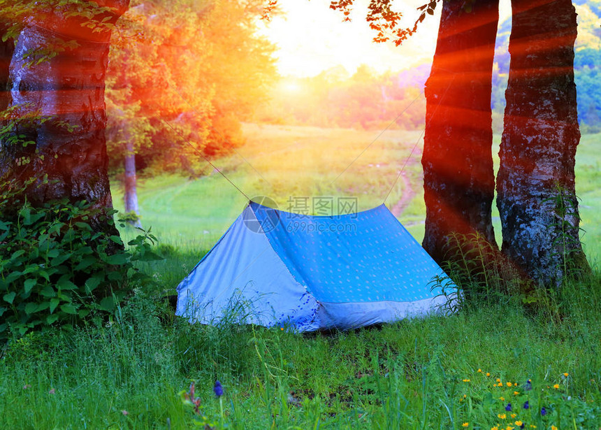 森林绿草上有旅游帐篷的景观图片