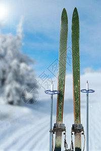 在阳光明媚的冬日进行越野滑雪图片