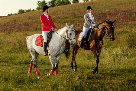 骑马者两个有魅力的女人在绿色的草地上骑马骑马赛马图片