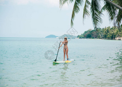 夏天在海上站起来划桨的女人图片