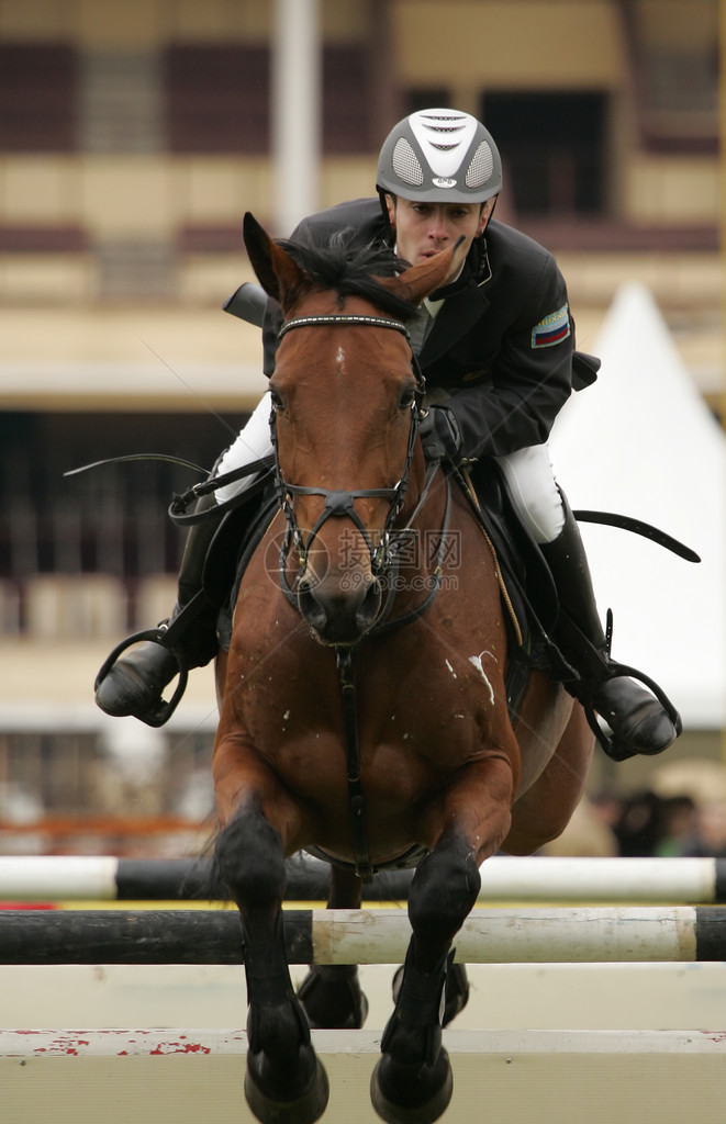 骑着棕色马的运动员跳过一个障碍2006年图片