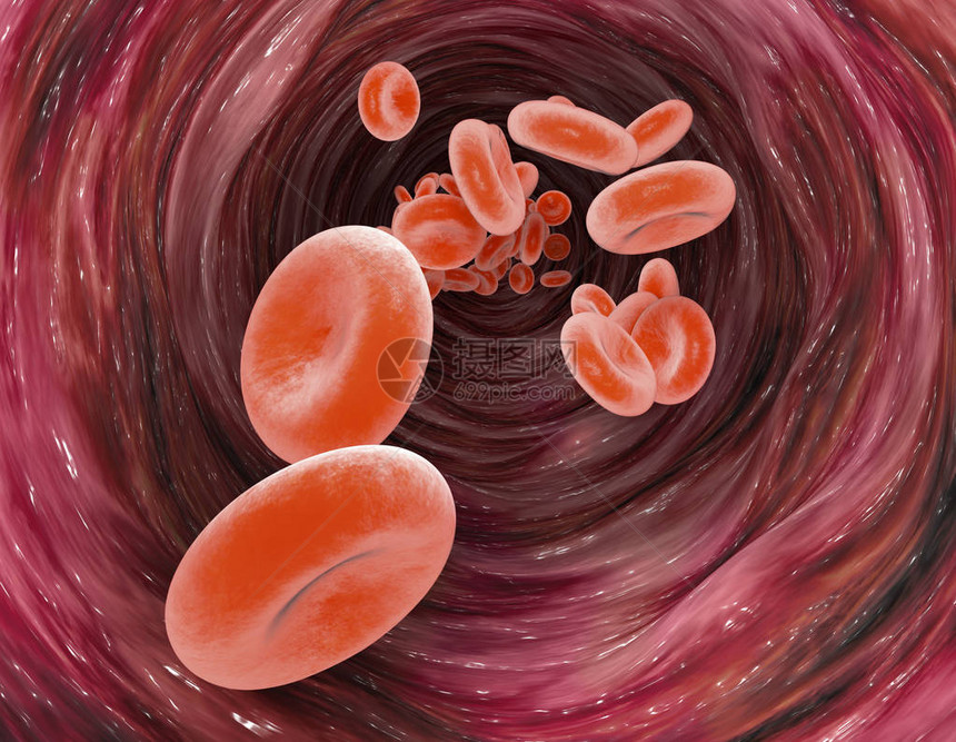 血红蛋白是一种使血液呈红色并能够通过其中的铁结合氧气的图片