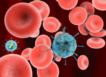 血红蛋白是一种使血呈红色并能够通过其中的铁结合氧气的蛋白质图片