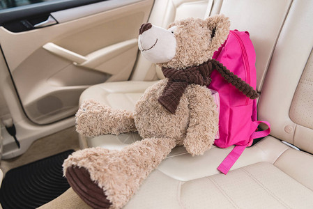 紧闭泰迪熊的视线车上座椅图片