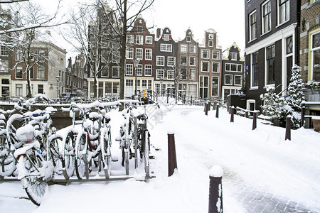 荷兰的Snowy图片