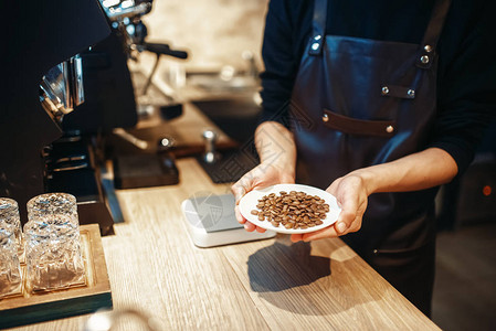 咖啡师拿着新鲜咖啡豆的盘子图片