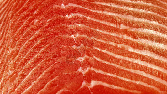 红鱼的背景纹理图像图片