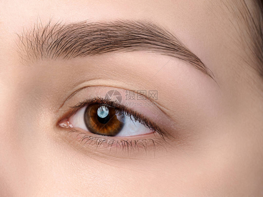 关闭美丽的棕色女眼睛的视图完美的时尚眉毛良好的视力隐形眼镜眉条或图片