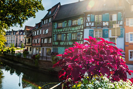 法国Alsace的Colmar图片