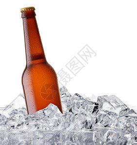 啤酒瓶在冰块里变得凉爽孤图片