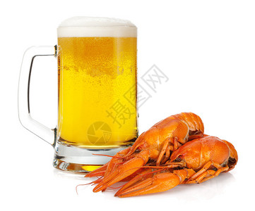 啤酒杯和煮小龙虾在白色背景上被隔离图片