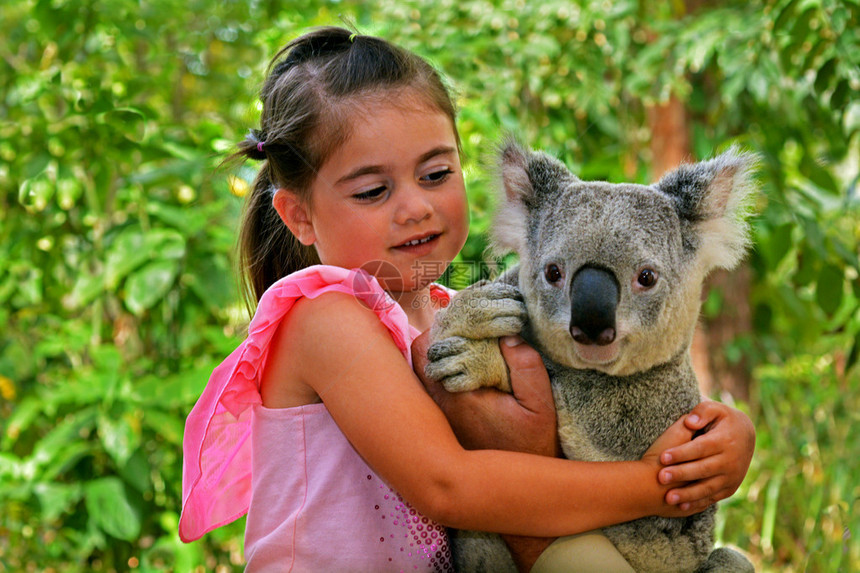 在澳大利亚金海岸昆士兰州抱着Koa图片