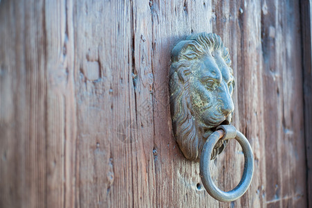 带有狮子头形状门环的门图片