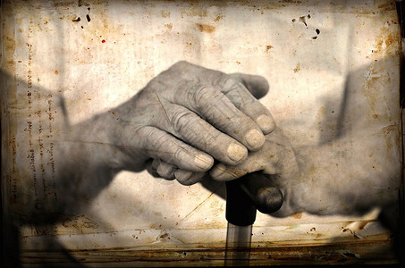 一只老手握着甘蔗的手Photo用古老的图图片