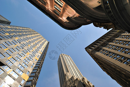 纽约市金融区的高楼图片