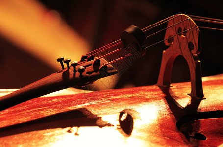 古典大提琴的细节图片