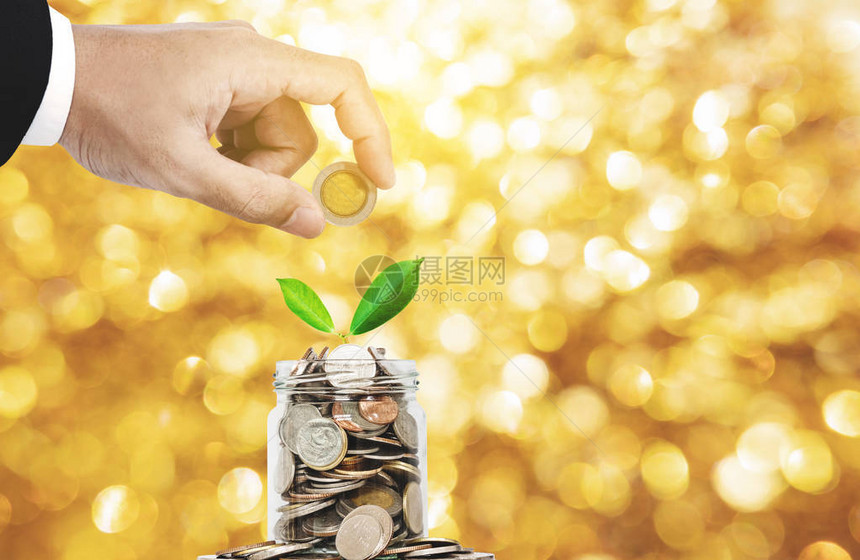 拯救金钱和黄金投资概念图片