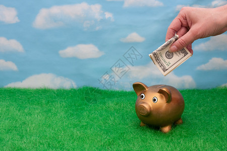 一只金猪在草地上有天空背景手和钱图片