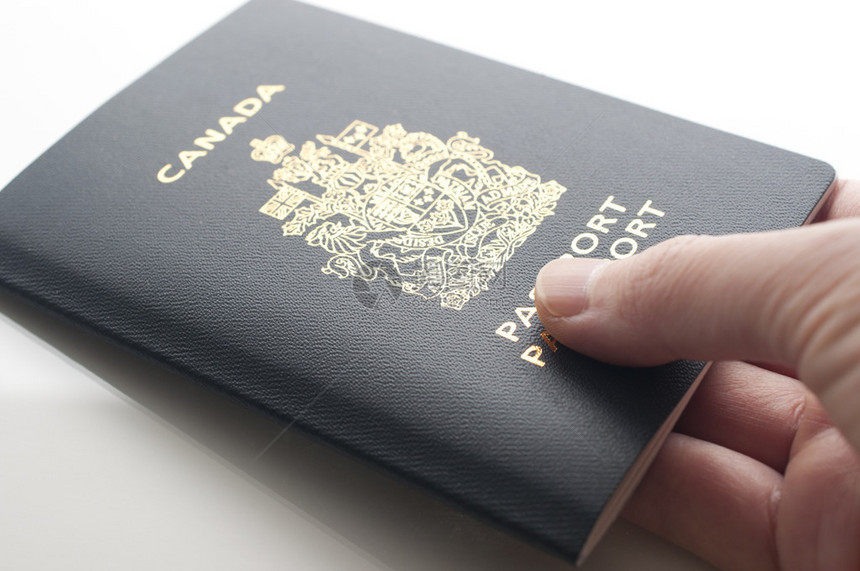 一只手拿着加拿大护照图片