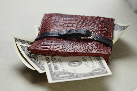 浅色背景上有美元钞票的皮革钱包背景图片