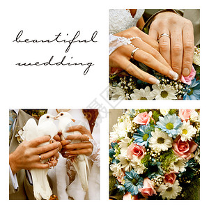 美丽的婚礼传统戒指图片