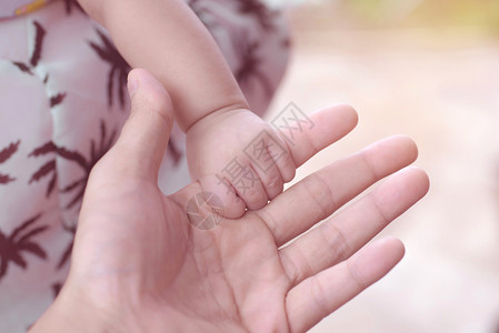 可爱的新生婴儿手握图片