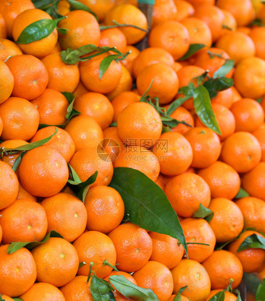 橙色西里柑桔背景和绿叶图片