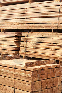 剪切木板和剪切以出售松木材料图片