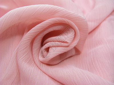 粉红丝玫瑰花朵形式图片