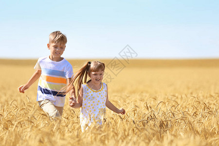 夏日在麦田里奔跑的可爱小孩图片