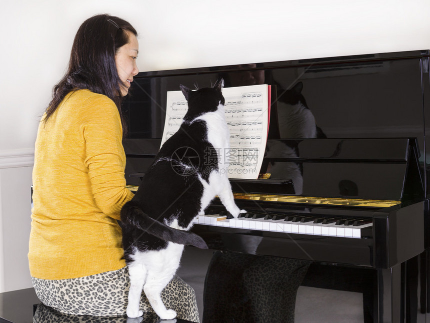 成年女与家庭宠物猫一起弹钢琴的照片图片