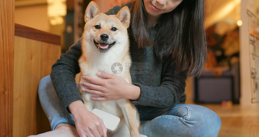 女人在家里梳图片