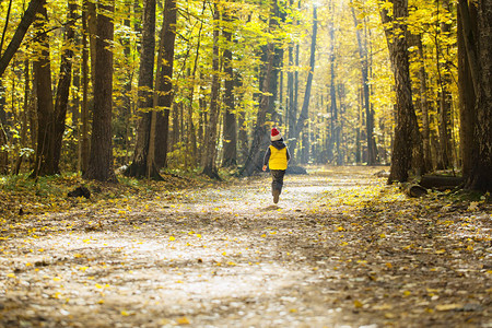 一个小男孩穿着毛帽带着一只蓬在阳光明媚的一天跑到秋图片