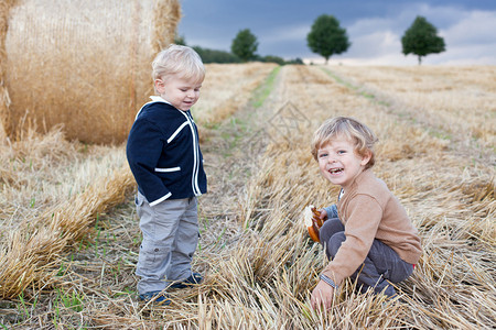 两个美丽的小孩夏天在草田玩得图片