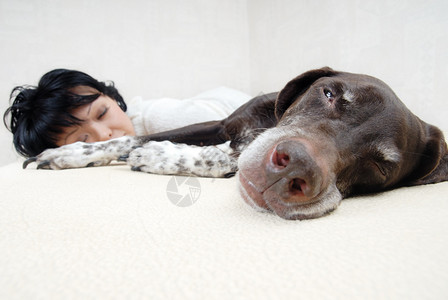 狗和主人在沙发上睡觉的照片图片