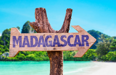 马达加斯有海滩背图片