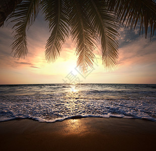 帕尔门热带海滩背景