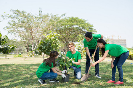 亚洲青年活动家团队在公园植树校对P图片