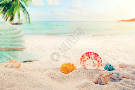 夏日海边夏日沙滩上的沙质配饰图片