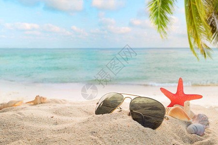 在海边夏日海滩的沙滩上戴太阳镜图片