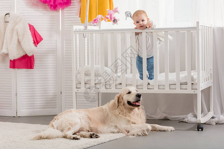 可爱的小孩站在婴儿床猎狗躺在图片