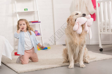 坐在金毛猎犬附近的惊讶可爱的孩子在儿童图片