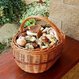 全篮子新鲜秋蘑菇图片