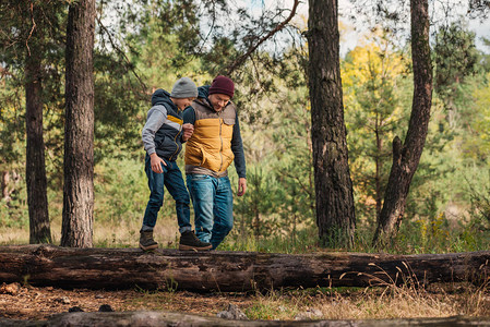 快乐的父亲和儿子手牵男孩在森林图片