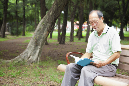 快乐的老人坐在长凳上看书图片