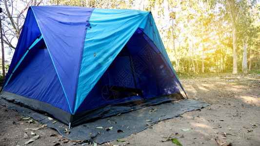 在森林中扎营蓝帐篷图片